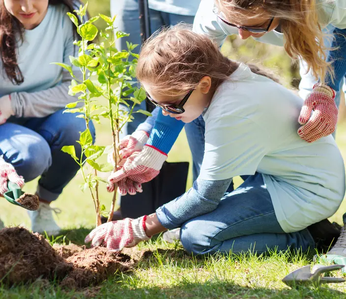 Child planting a sapling tree with adults assisting