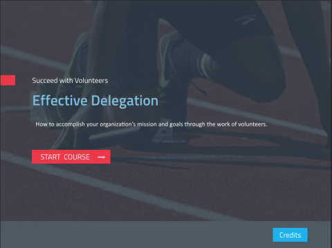 Effective Delegation module cover